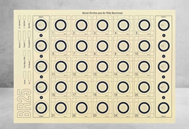 Benchrest Skydeskiver 25 m, 100 stk 